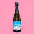 Pinot Sekt Brut Nature Blanc de Noir 2021